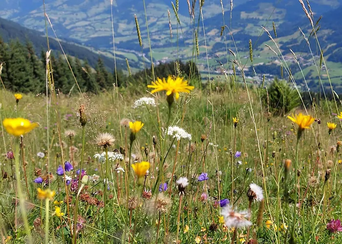 Angererhof
