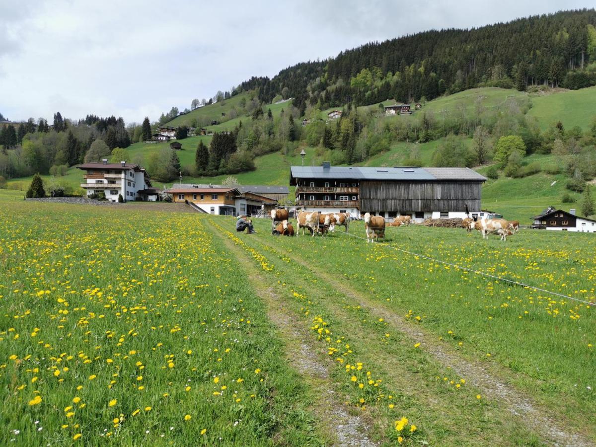 Appartement Angererhof Jochberg